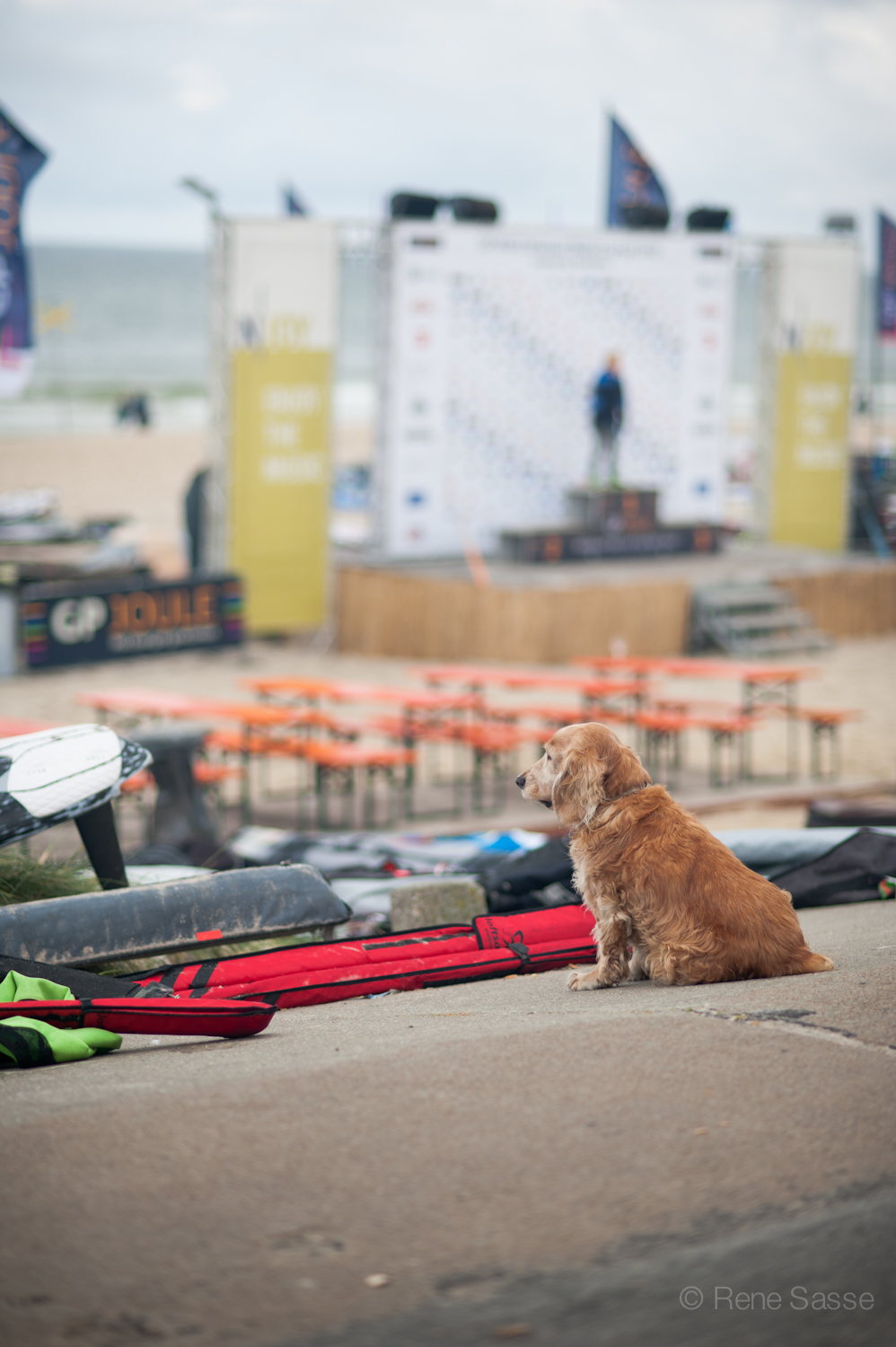 20131006_SurfWorldCup_5566