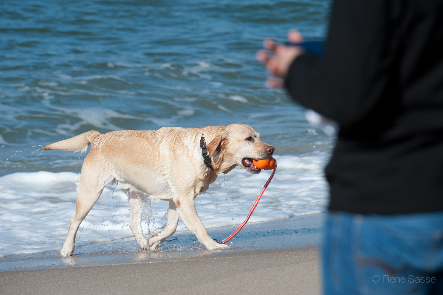 20131006_SurfWorldCup_5801