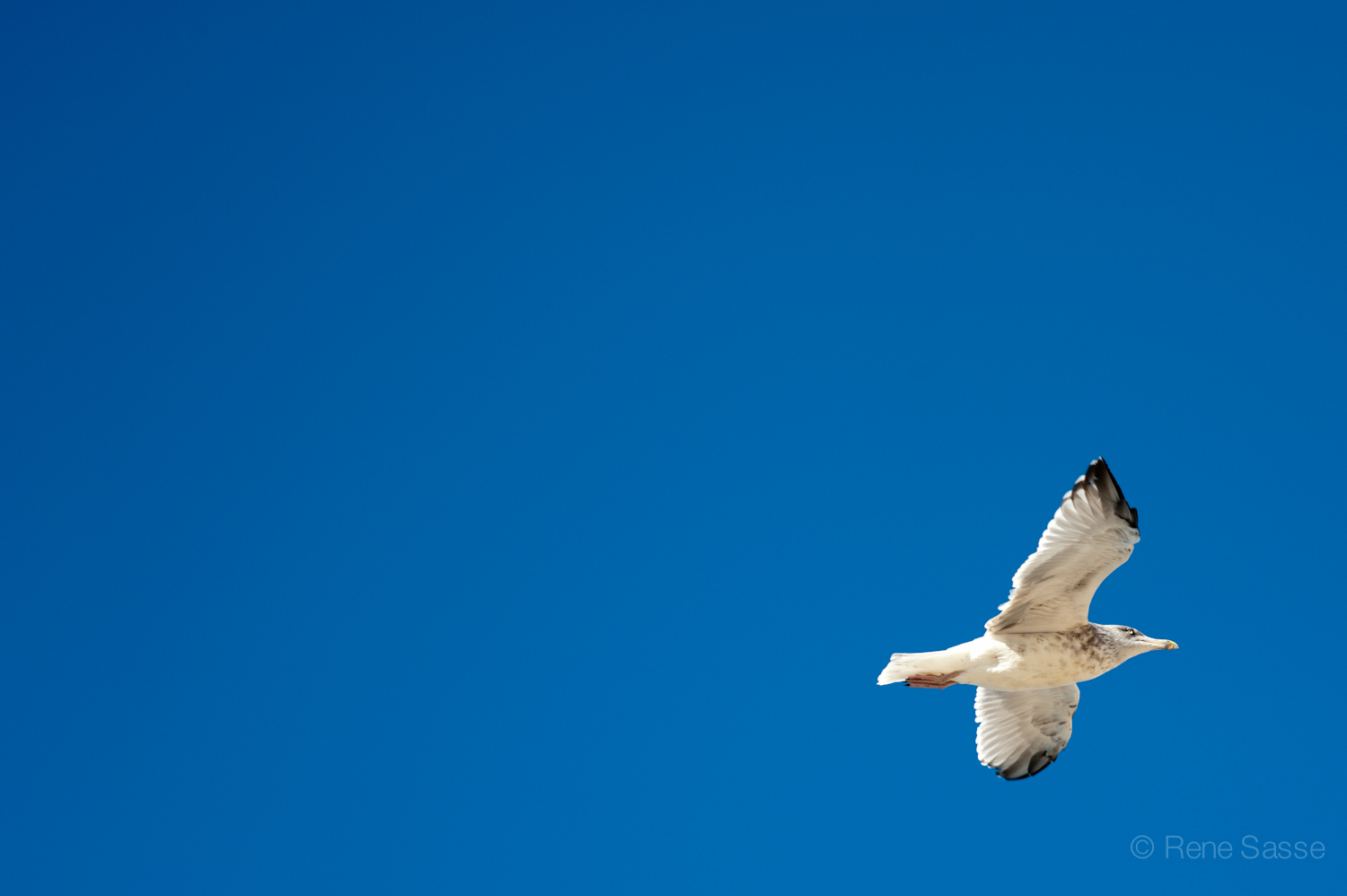 20131006_SurfWorldCup_6074