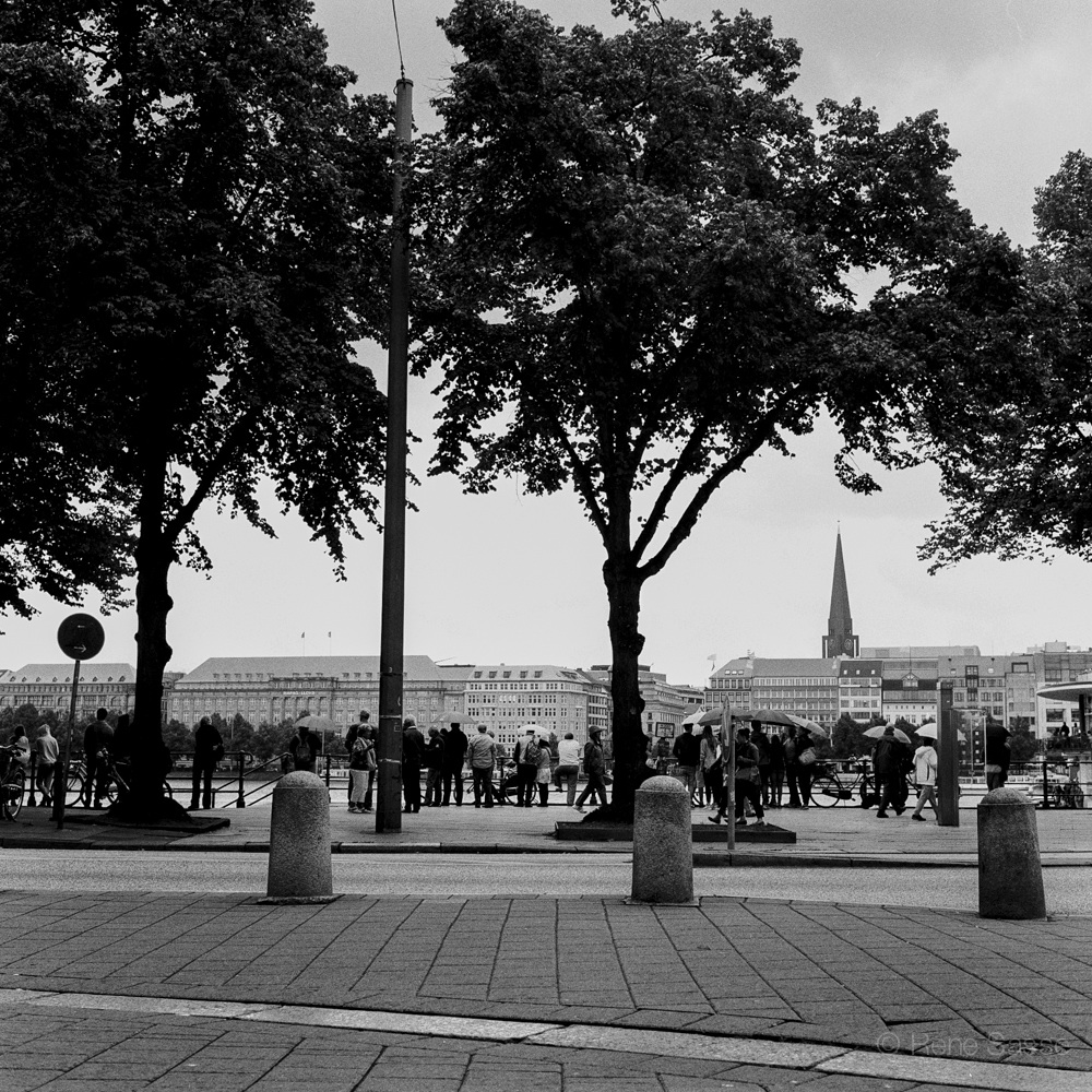 Alster (Drachenbootrennen)