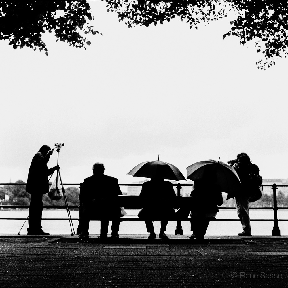 Männer im Regen auf einer Bank. Alster (Drachenbootrennen)