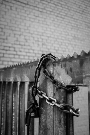 veryfruehPhotowalk-1235