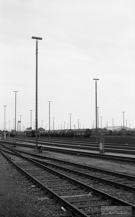 Yashica GSN, Ilford FP4 ISO 125