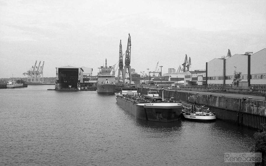 Yashica GSN, Ilford FP4 ISO 125