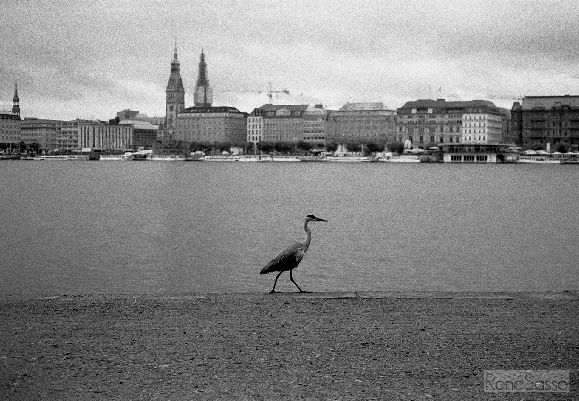 veryfrueh05_2016-06-21-0008-2