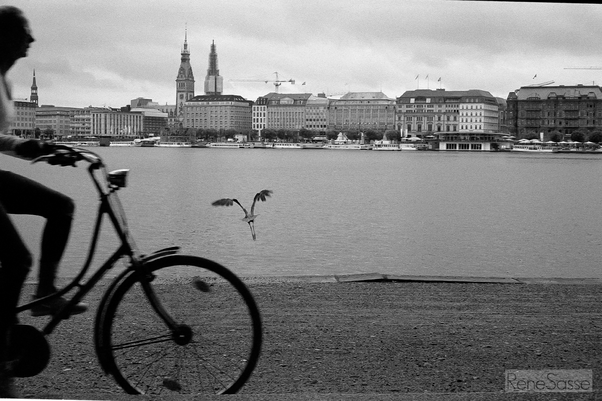 veryfrueh05_2016-06-21-0009-2