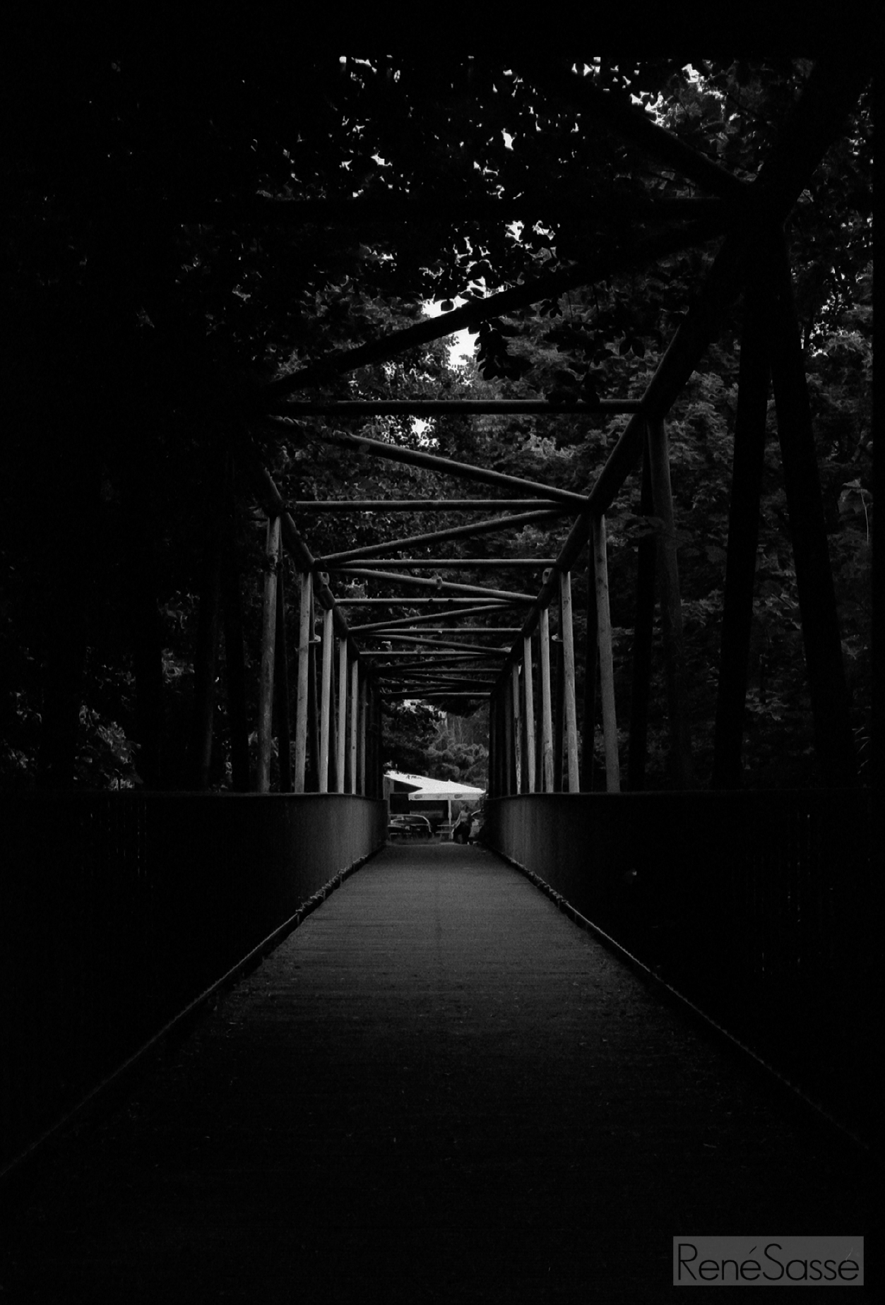 veryfrueh06_2016-07-04-0012