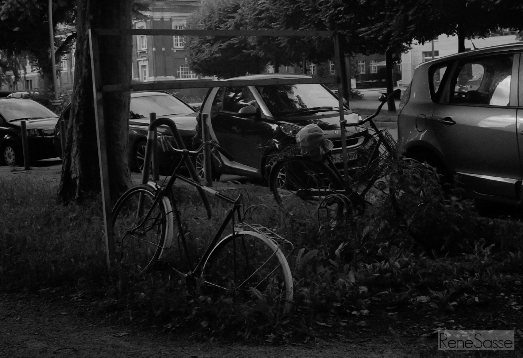 veryfrueh06_2016-07-04-0023