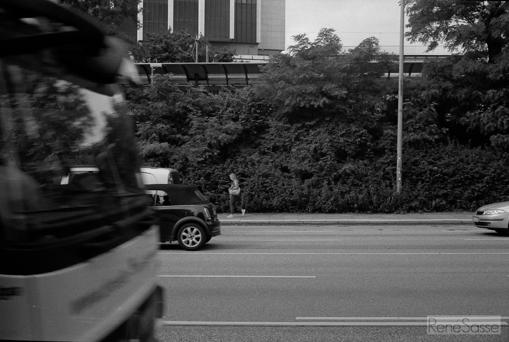 veryfrueh06_2016-07-04-0024